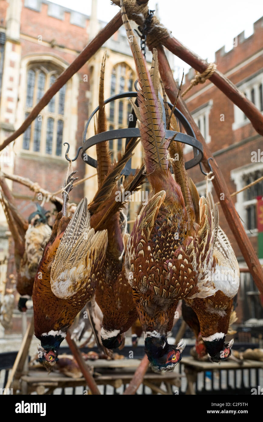 Fagiani appeso / carne di fagiano; medievale medievale / / storico medievale Scena di mercato / set cinematografico a Hampton Court Palace Regno Unito Foto Stock