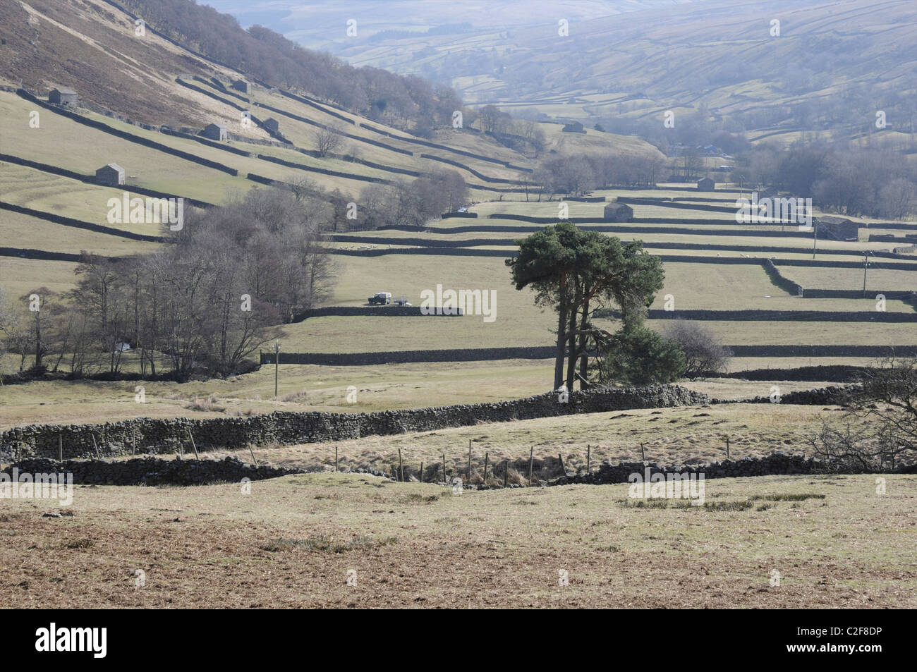 Campagna tra Keld e Thwaite, Swaledale, Yorkshire Dales, England, Regno Unito Foto Stock