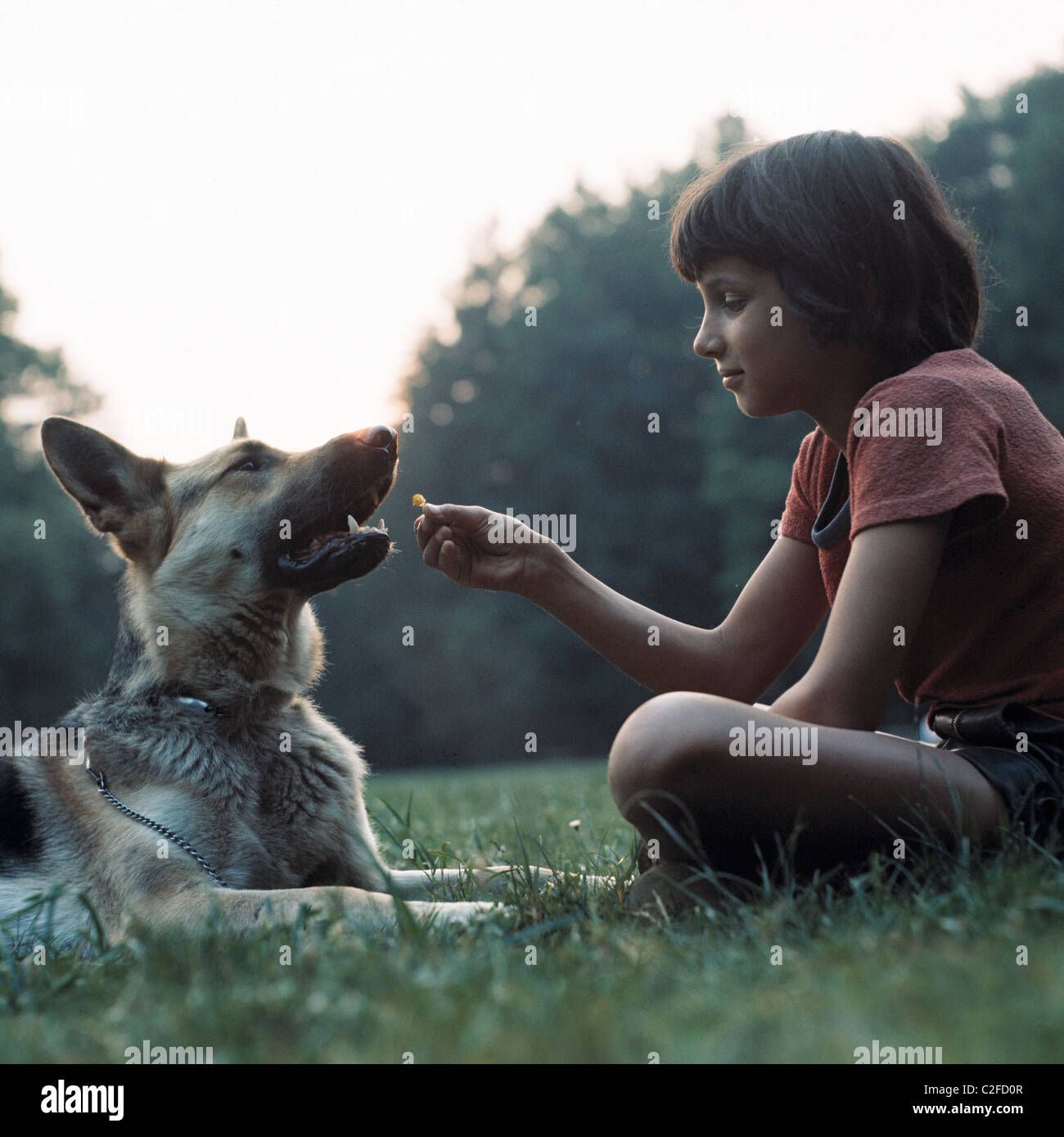 Negli anni settanta, persone, amore per gli animali, ragazzo giovane e sheepdog, di età compresa tra i 10 e i 13 anni Foto Stock