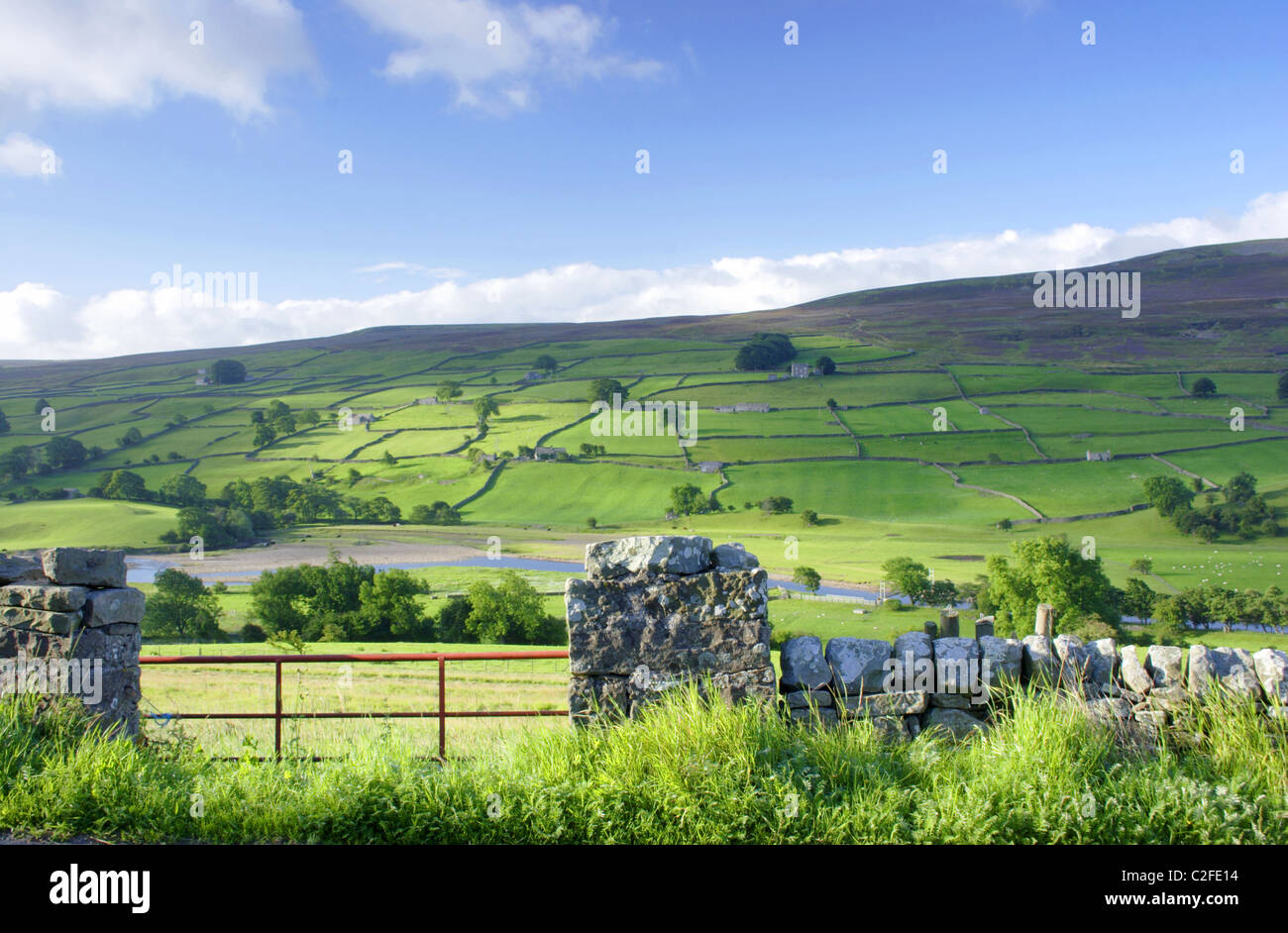 Di Reeth e fiume Swale, estate, Swaledale, Yorkshire Dales National Park, Regno Unito Foto Stock