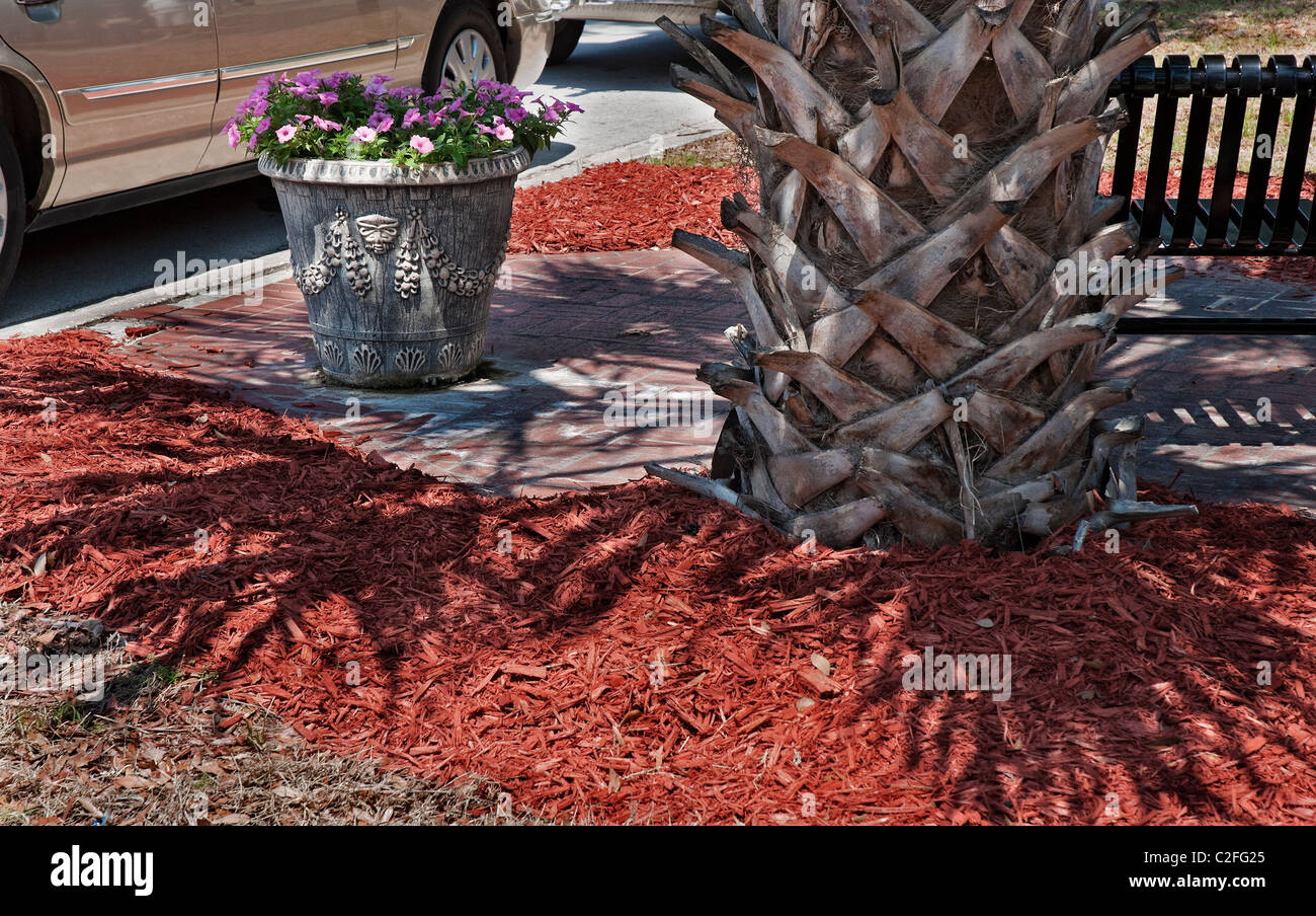 Piccola tasca area parco tra il marciapiede e la strada Florida Foto Stock