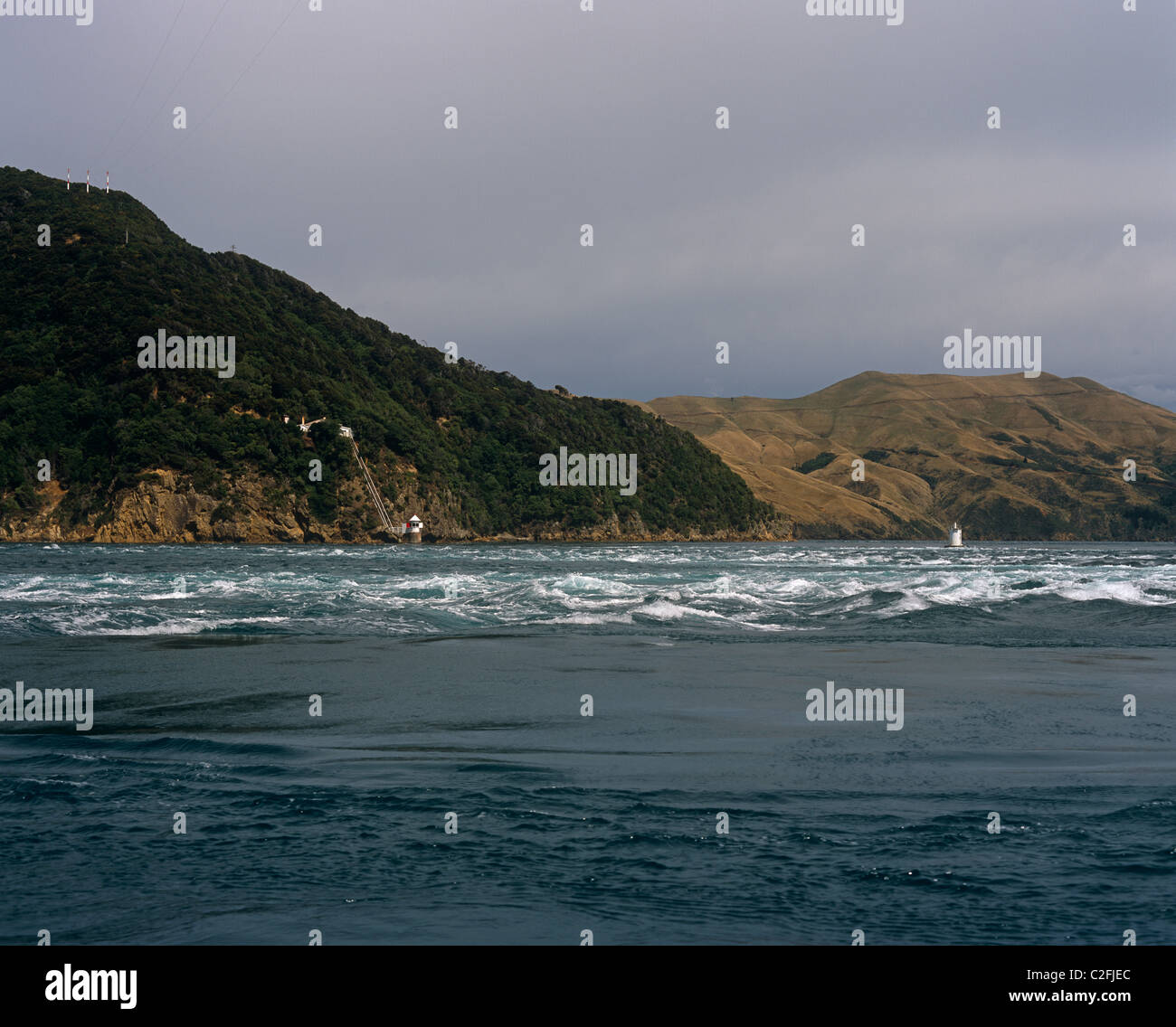 Pass francese di Isola del Sud della Nuova Zelanda Foto Stock