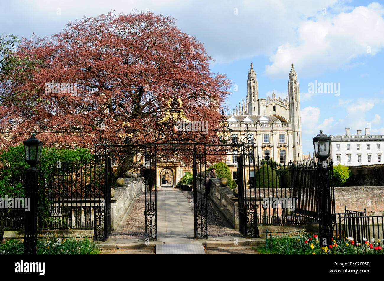 Clare Bridge e il Kings College Chapel, Cambridge, Inghilterra, Regno Unito Foto Stock