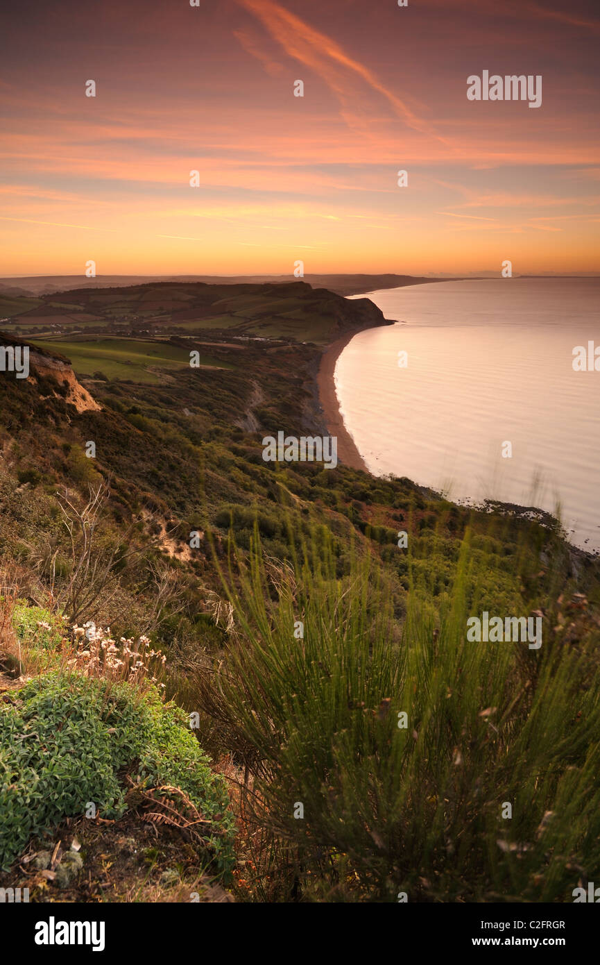 Vista verso est da Golden Cap su Dorset's Jurassic costa prima del sorgere del sole. Foto Stock