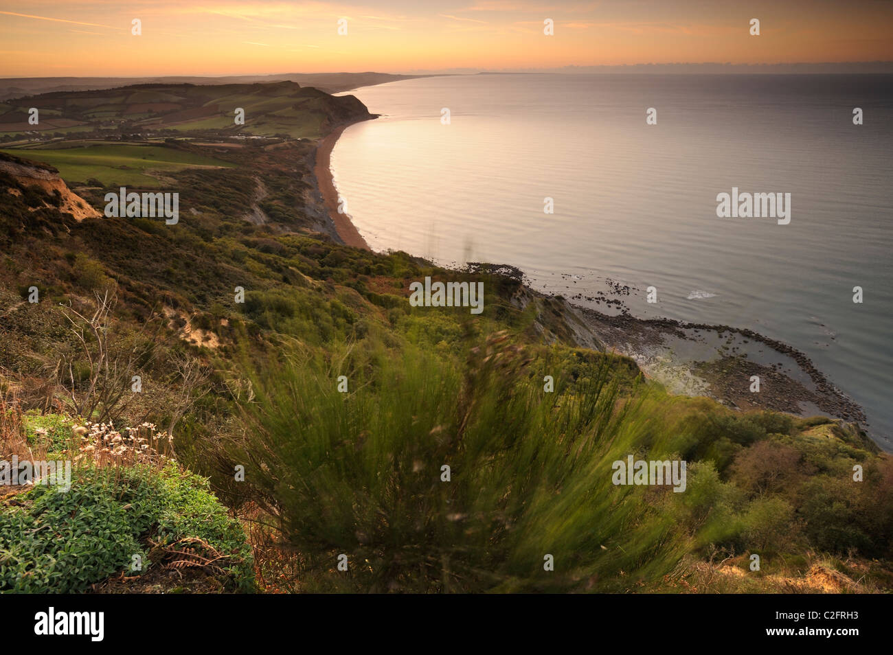 Vista verso est da Golden Cap su Dorset's Jurassic costa prima del sorgere del sole. Foto Stock