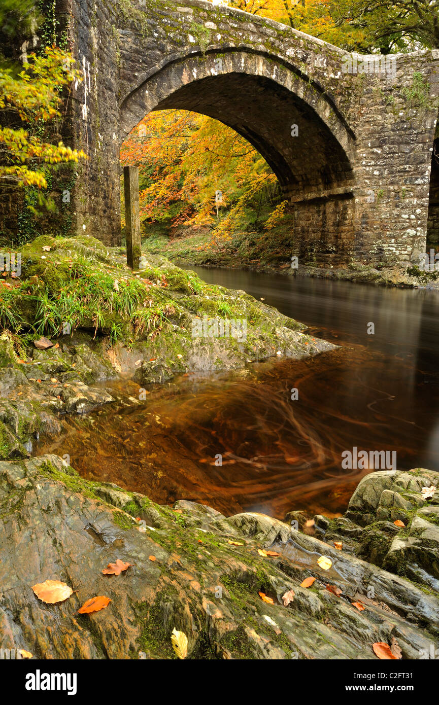 Foglie di vorticazione sulle rive del fiume Dart a Ponte di Holne, Devon. Foto Stock