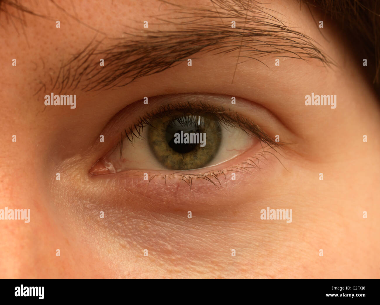 Close up di un occhio (verde) Foto Stock