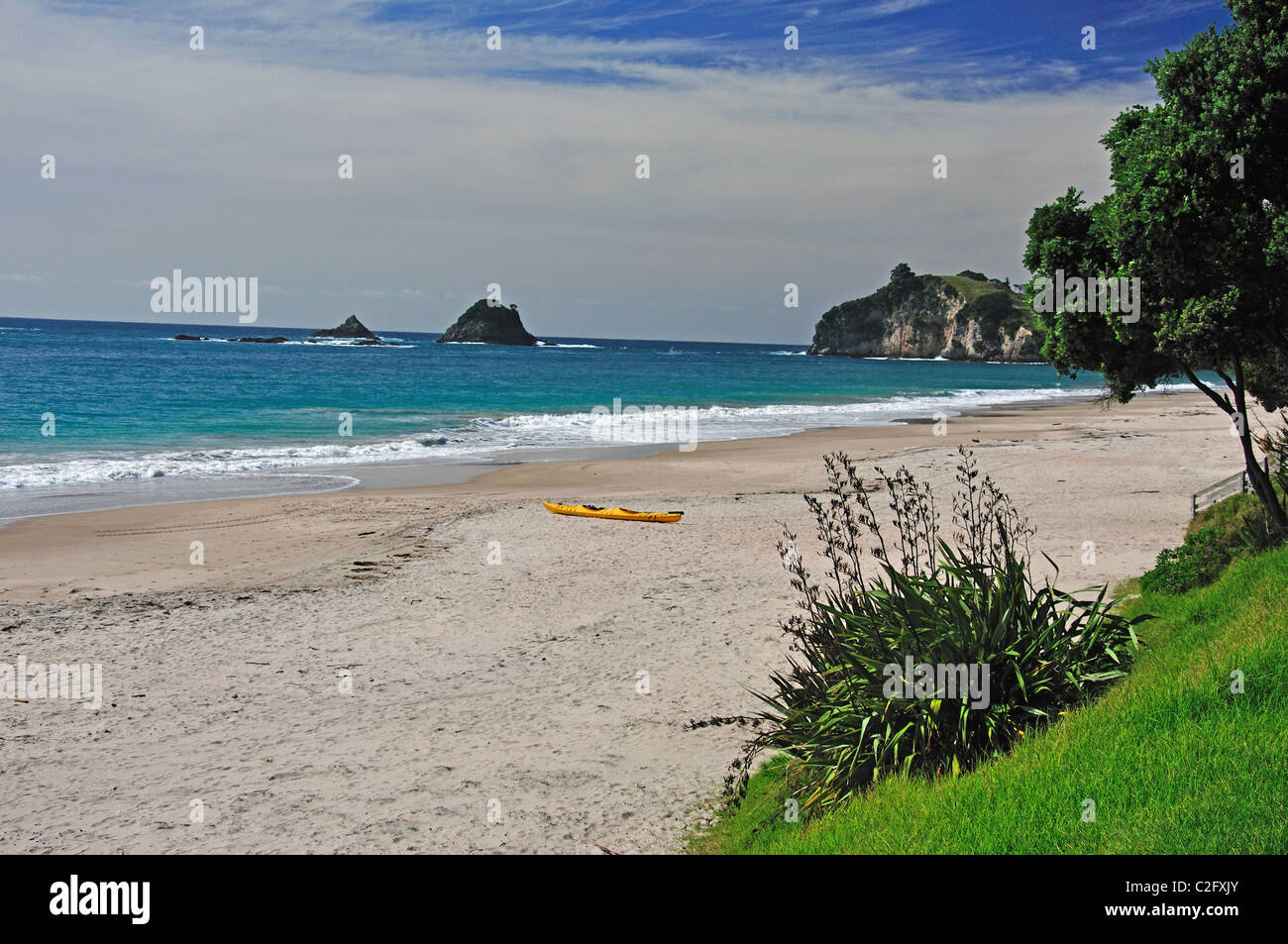 Hahei Beach, Hahei, Penisola di Coromandel, regione di Waikato, Isola del nord, Nuova Zelanda Foto Stock