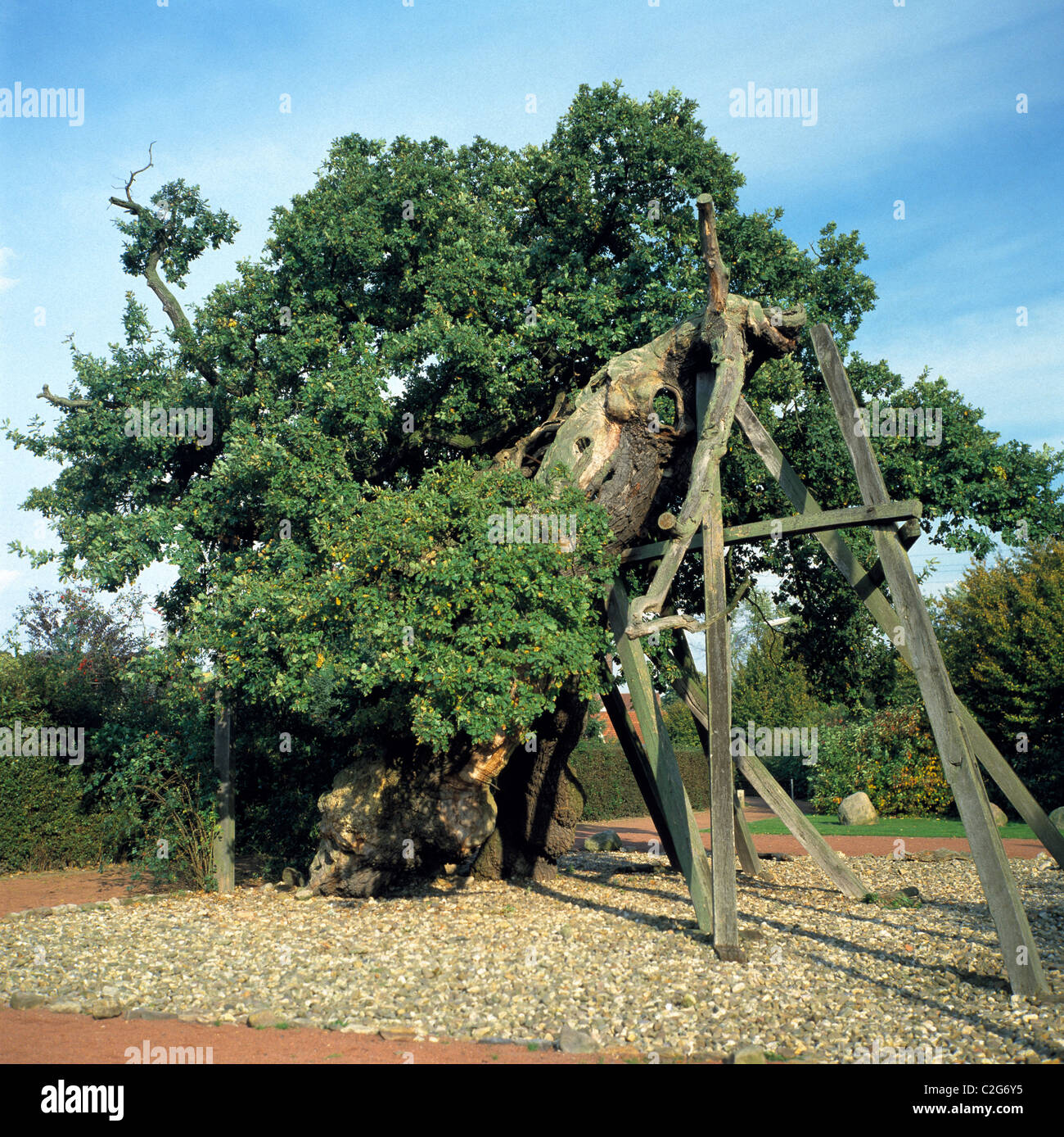 Mittelalter, Femegericht, Femeiche in Raesfeld-Erle, Naturpark Hohe Mark, Muensterland, Niederrhein, Renania settentrionale-Vestfalia Foto Stock