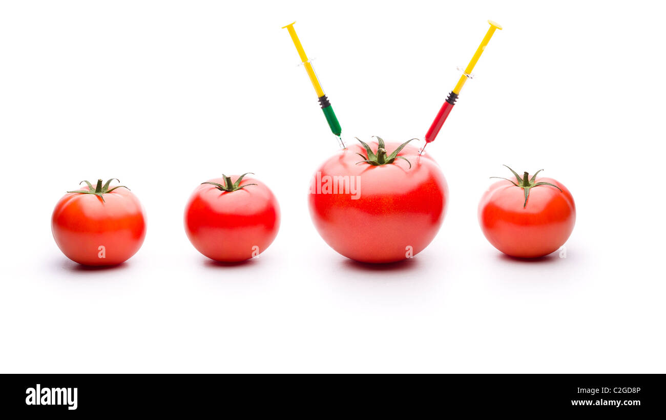 Iniettare il liquido nel grande pomodoro. Utile per la modificazione genetica di concetti. Foto Stock