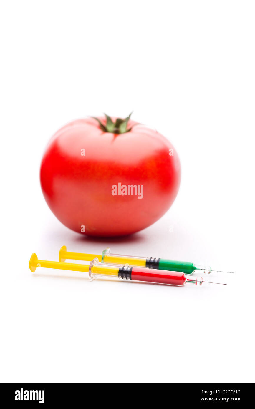 Pomodori con syrigne. Utile per la modificazione genetica di concetti. Foto Stock