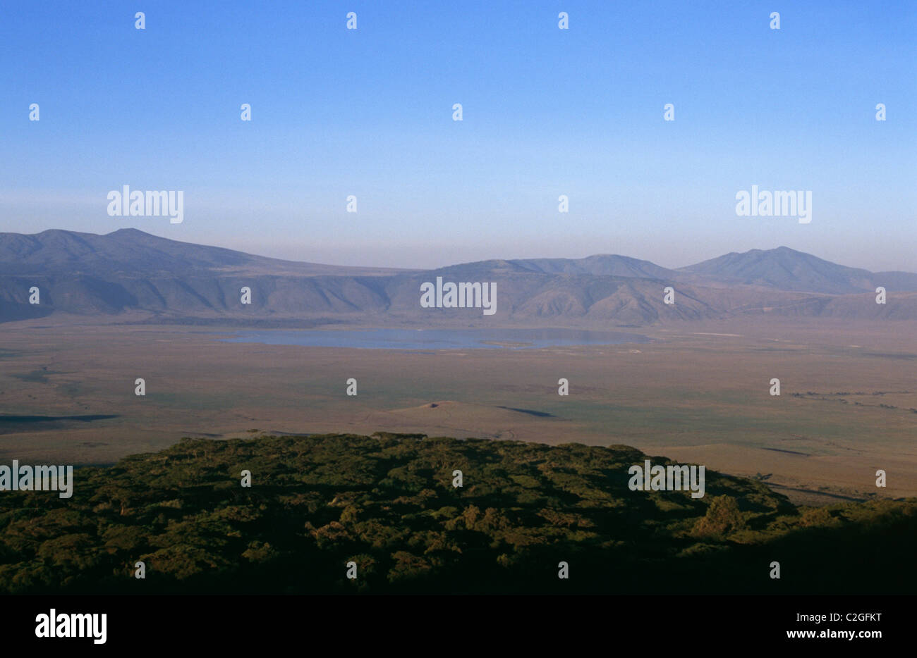 Cratere di Ngorongoro Tanzania Foto Stock