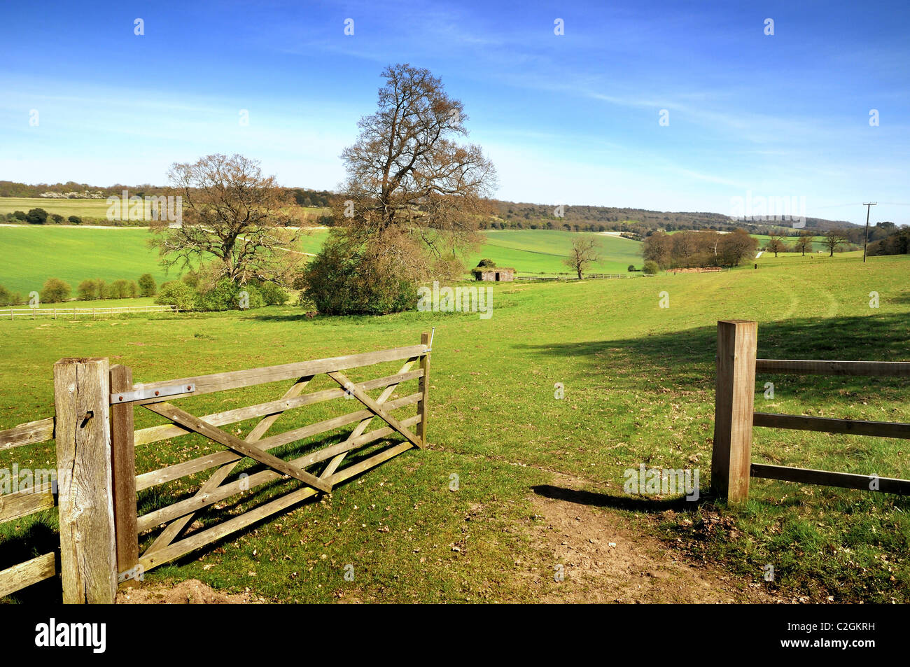 North Downs vicino a Newlands Corner Surrey Foto Stock