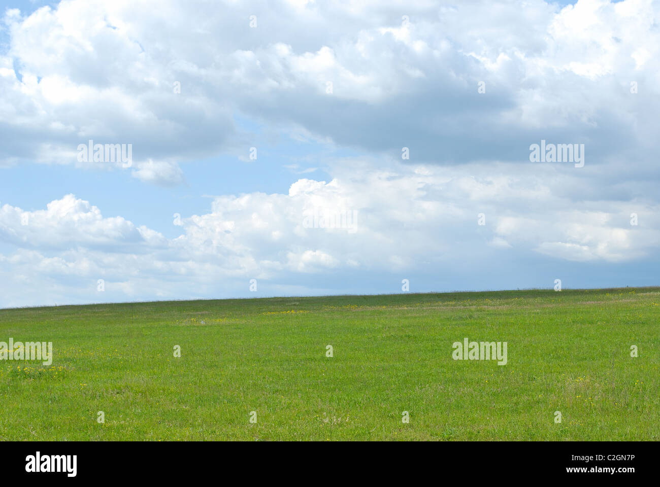Non-natura urbana greenmeadow paesaggio. Foto Stock