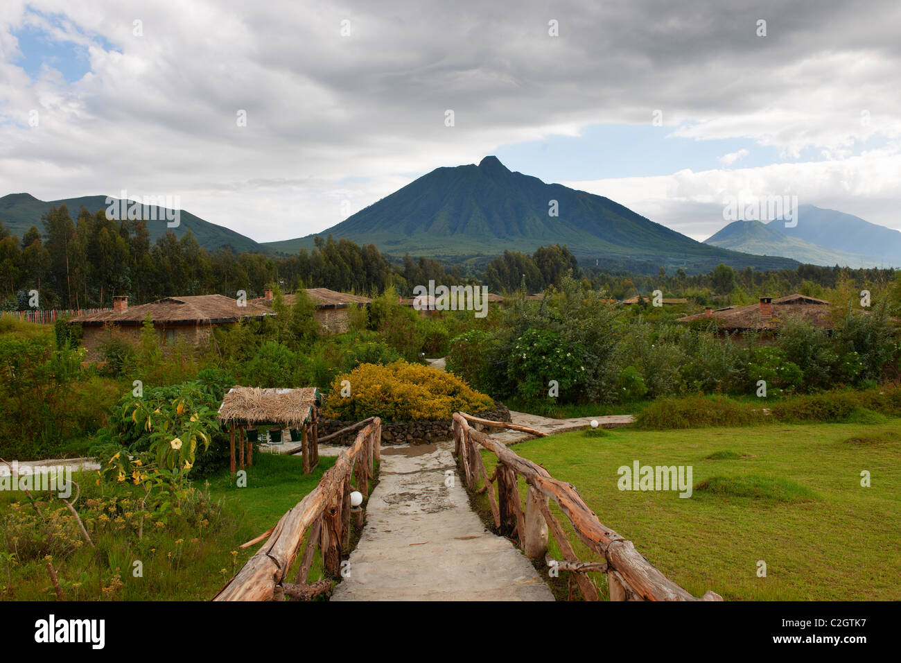 Gorilla di Mountain View Lodge e il Monte Sabyinyo, Parc National des Volcans, montagne Virunga, Ruanda, Africa Foto Stock