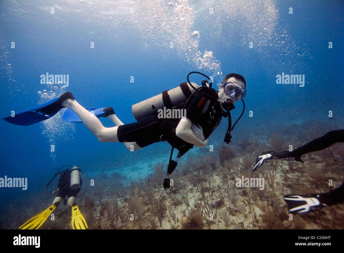 Immersioni subacquee al di fuori del porto inglese, Antigua. Foto Stock