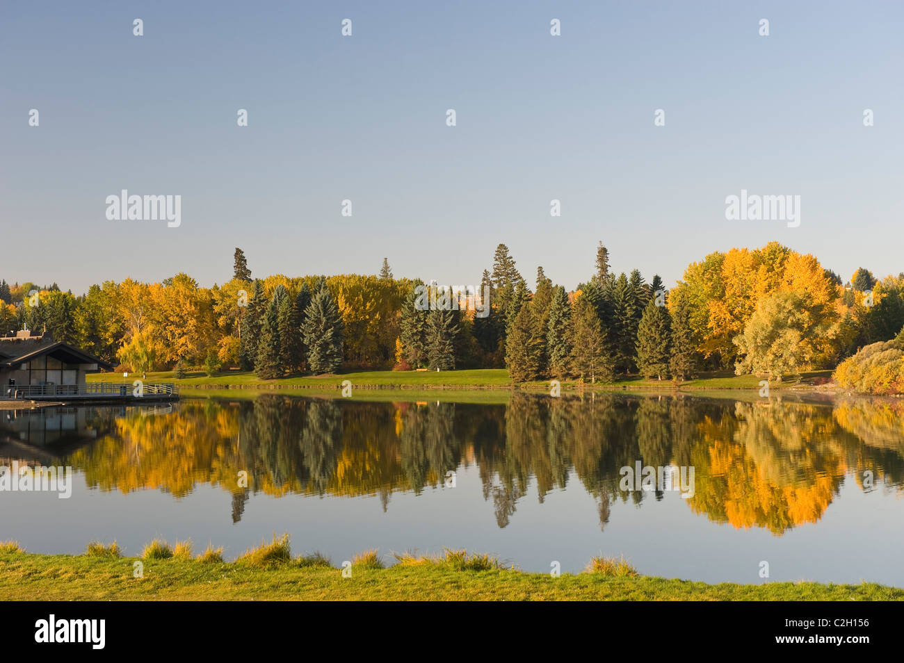 Hawrelak Park, Edmonton, Alberta, Canada; vista degli alberi di autunno Foto Stock