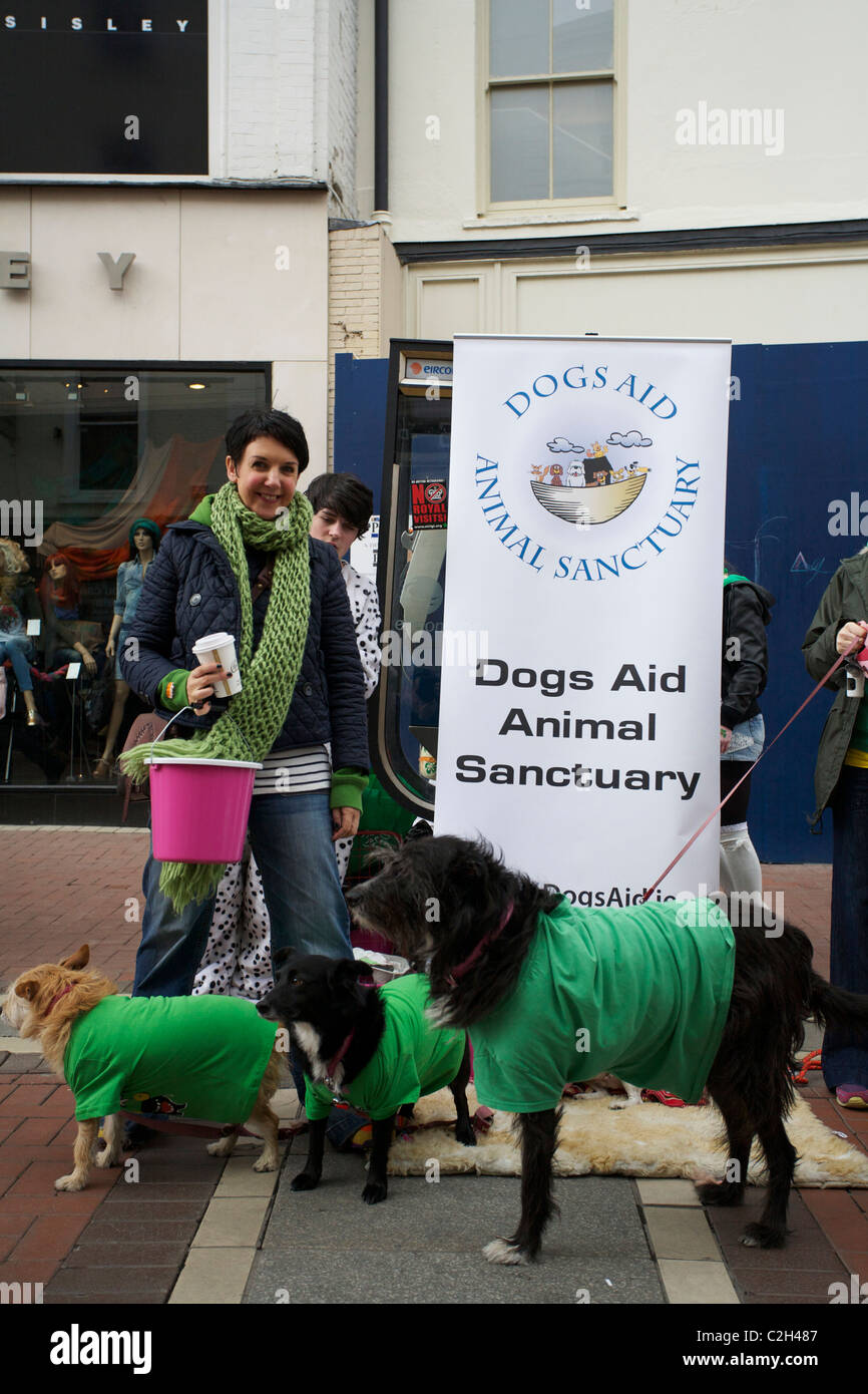 Cani Aiuto Santuario degli animali la raccolta di Grafton Street, Dublin, Irlanda per il giorno di San Patrizio. Foto Stock