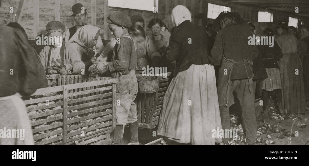 Johnnie, un periodo di nove anni shucker oyster. Foto Stock