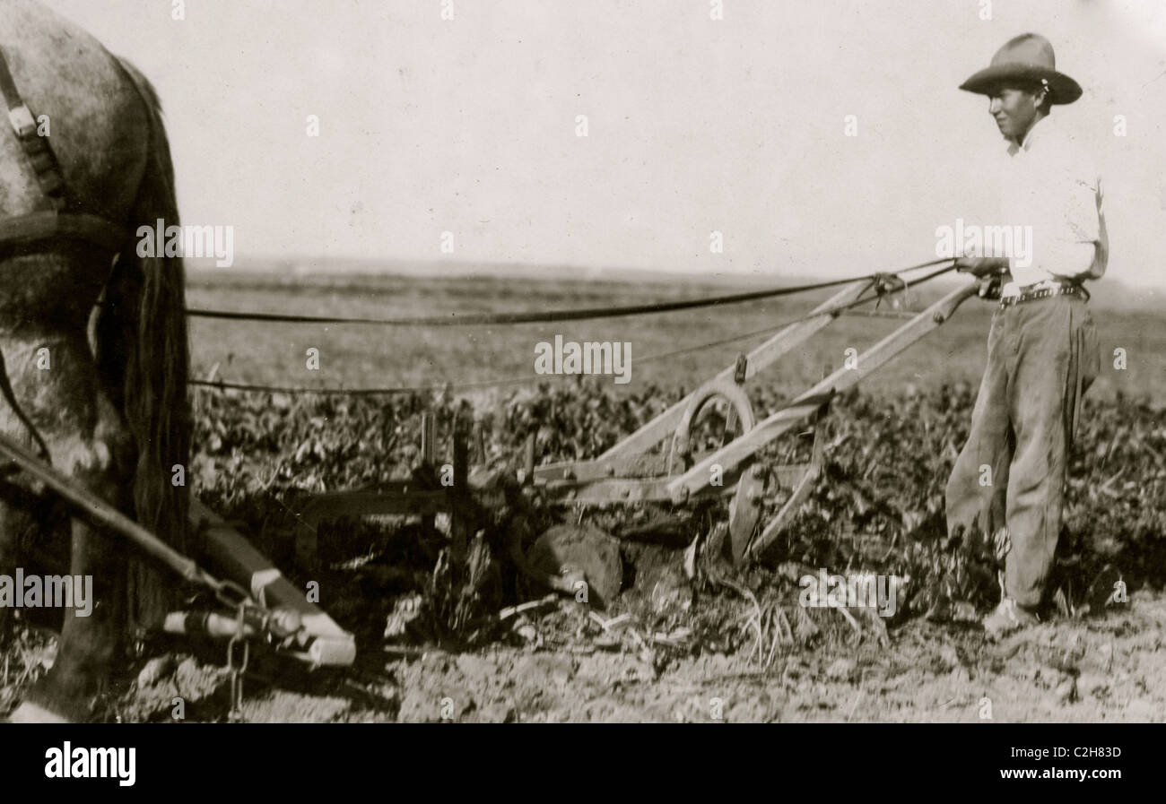 Un trattore Deere tirando la macchina, due cavalli. Questi semplicemente allentare il suolo, lasciando la finale di trazione che deve essere esercitata dai lavoratori. Foto Stock