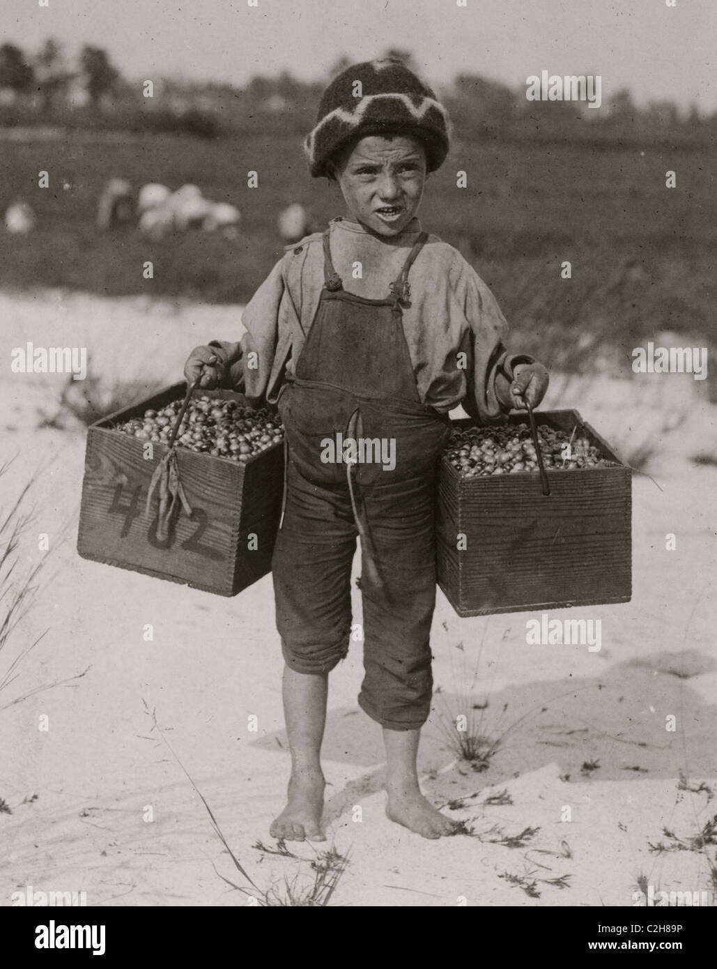 Salvin Nocito, 5 anni, porta 2 pecks di mirtilli rossi per la lunga distanza per il "staio-l'uomo.' Bianchi Bog, Browns Mills, N.J. Foto Stock