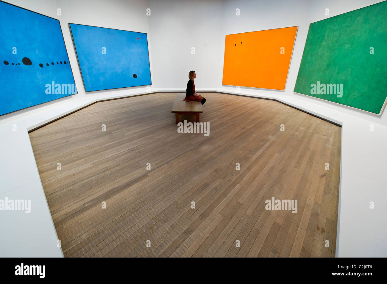 La Joan Miro, Scala di fuga mostra apre alla Tate Modern. Esso è congiuntamente curata da Matthew Gale e Marko Daniel Foto Stock