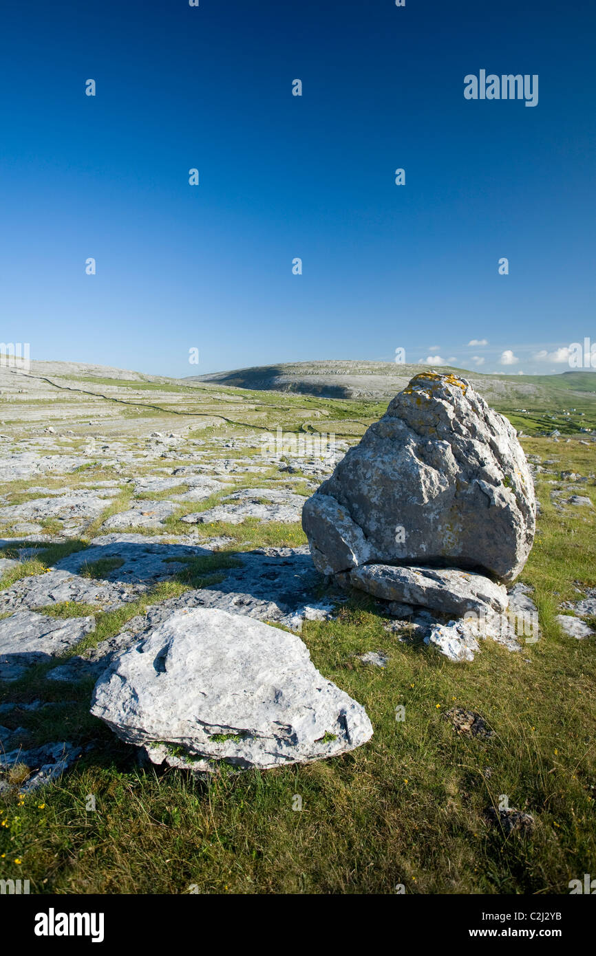 Pavimentazione di pietra calcarea e glaciale massi erratici in The Burren, County Clare, Irlanda. Foto Stock