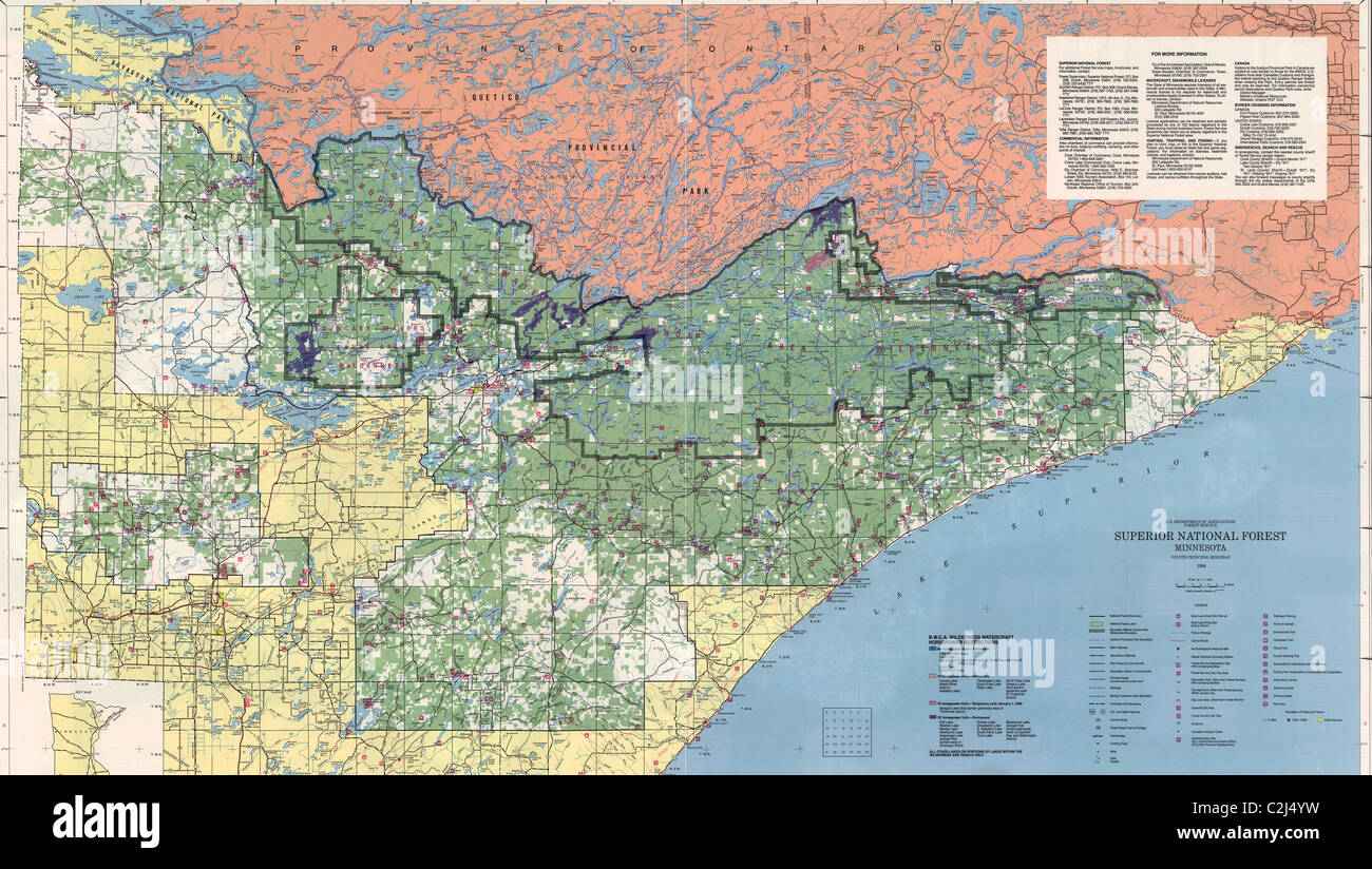 Superior Natonal Forest Foto Stock
