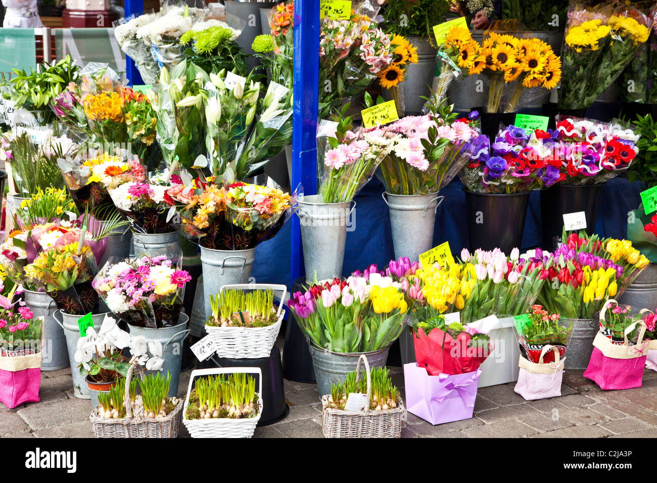 Display floreali di tagliare i grappoli e mazzi di fiori di primavera al di fuori di un fioraio in Inghilterra, Regno Unito Foto Stock