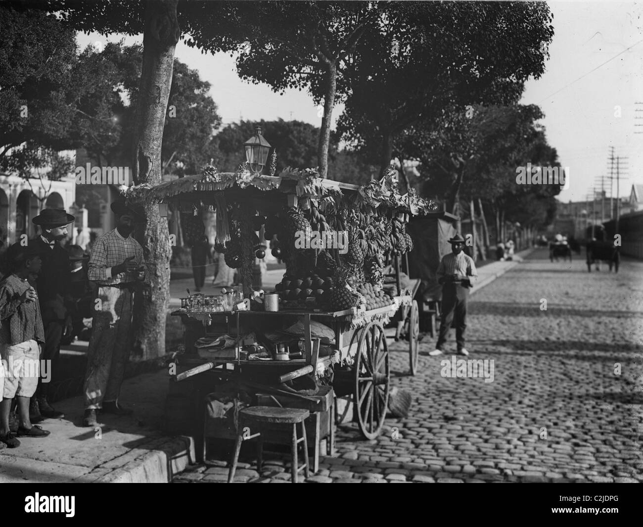 La frutta si erge sul Prado Foto Stock La frutta si erge sul Prado Foto Stock