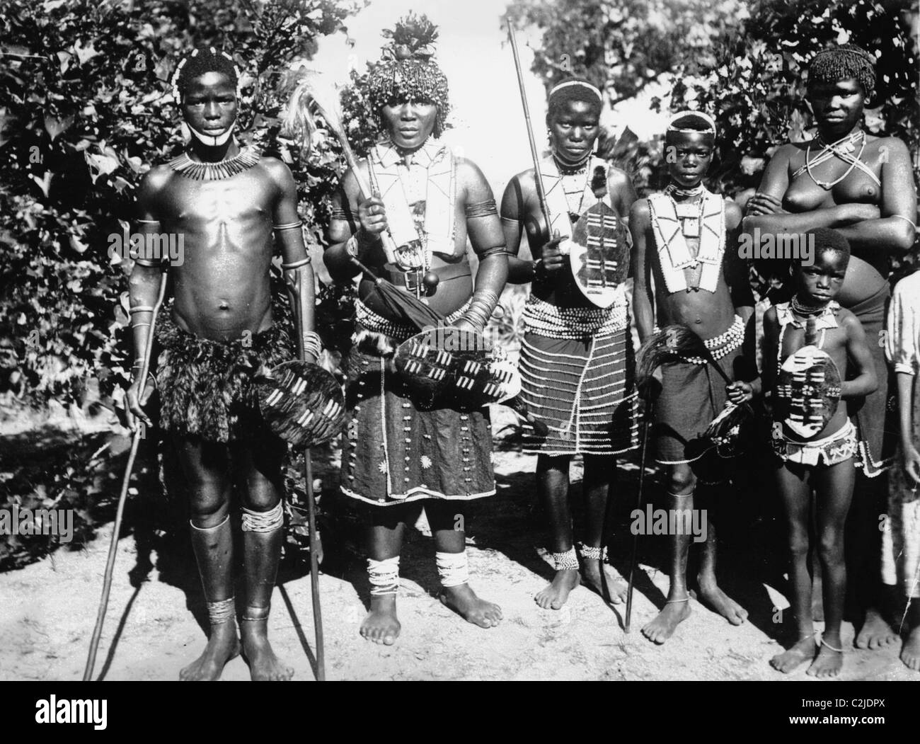 Zulu warrior tribesmen con lance e scudi Foto Stock