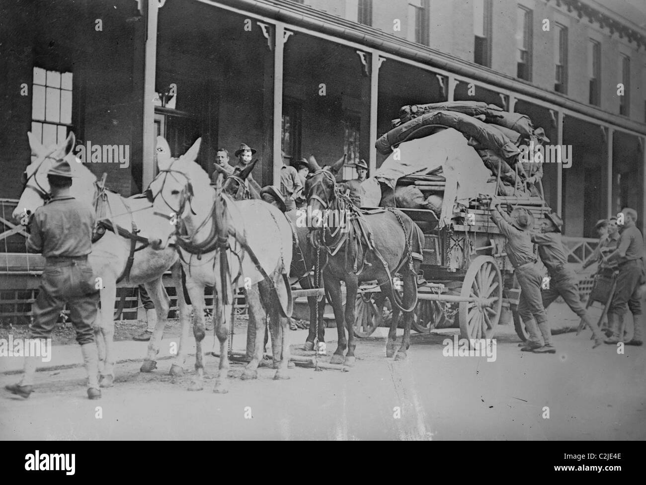 Mulo squadra di fanteria xii tirando carro carico sulla passeggiata a Pine Plains Foto Stock