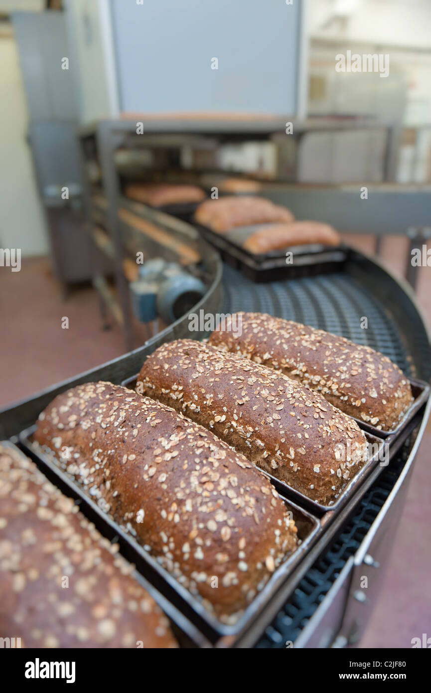 Polpettine di pane essendo fatta in una fabbrica Foto Stock