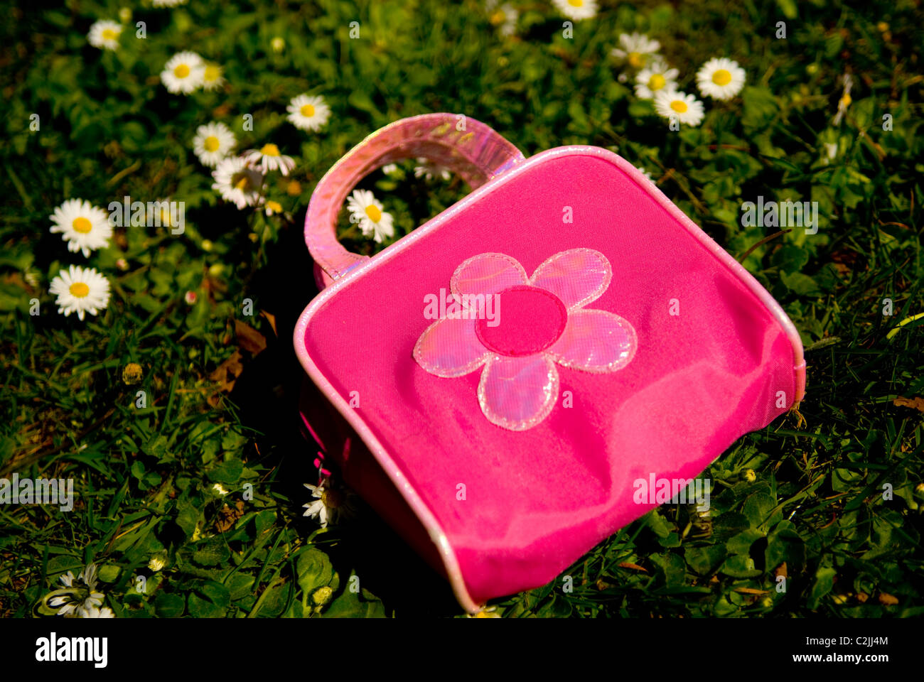 Borsa rosa posa sull'erba Foto Stock