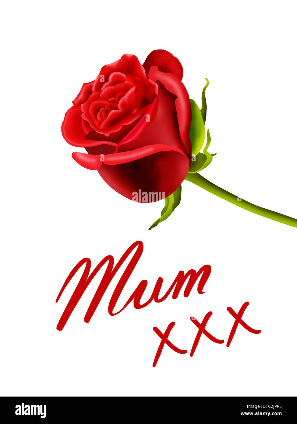 KC Biglietto di auguri per compleanno con scritta ''For A Wonderful Mum Sentiments Flowers & Stand'' (lingua italiana non garantita