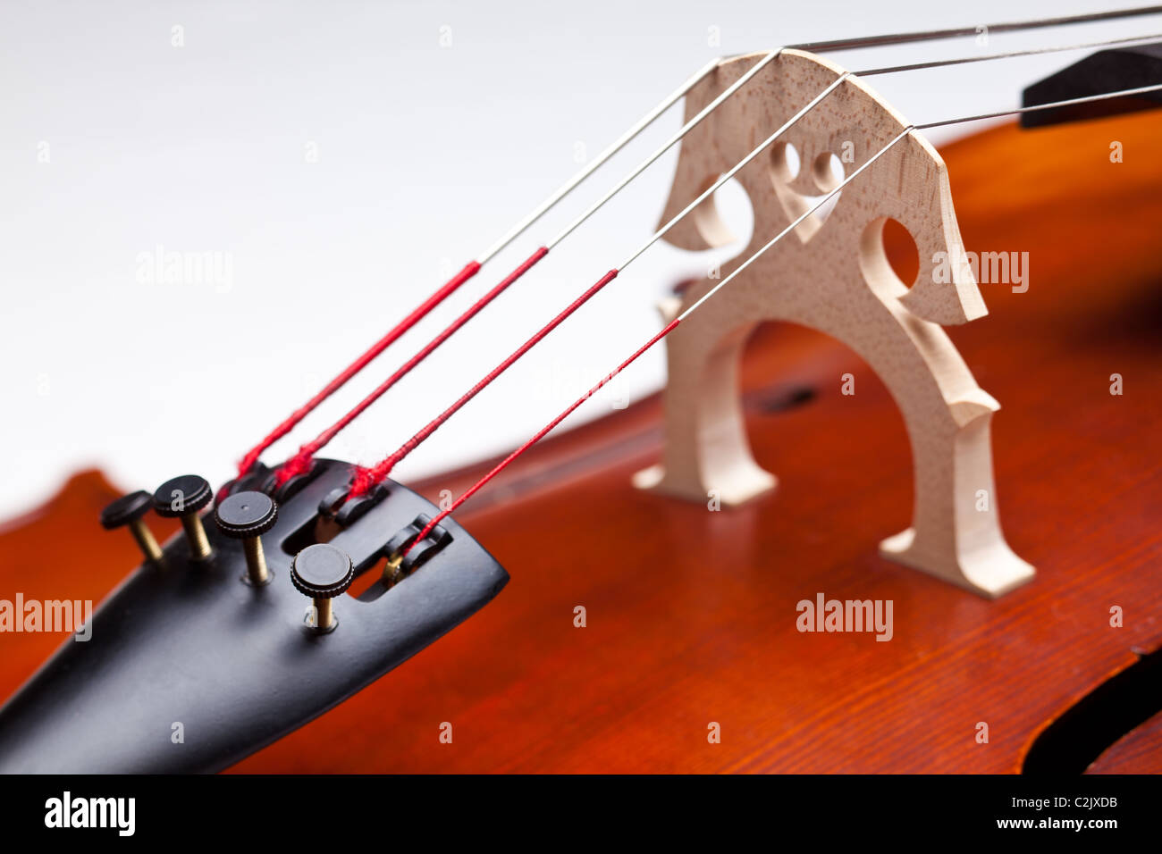 Vista dettagliata del violoncello. Breve DOF. Focus sulle stringhe Foto Stock