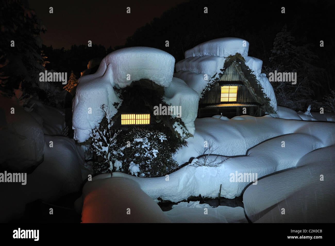 Snowscape di Shirakawa-go di notte, Shirakawa, Ono, Gifu, Giappone Foto Stock
