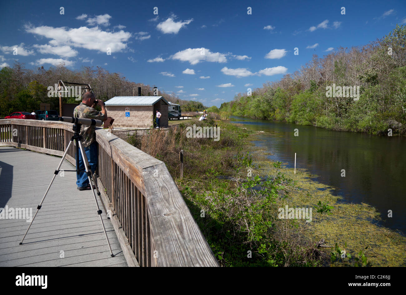 Turner River a H.P. Williams parco stradale. Tamiami per voli Trail, Everglades, Florida, Stati Uniti d'America Foto Stock