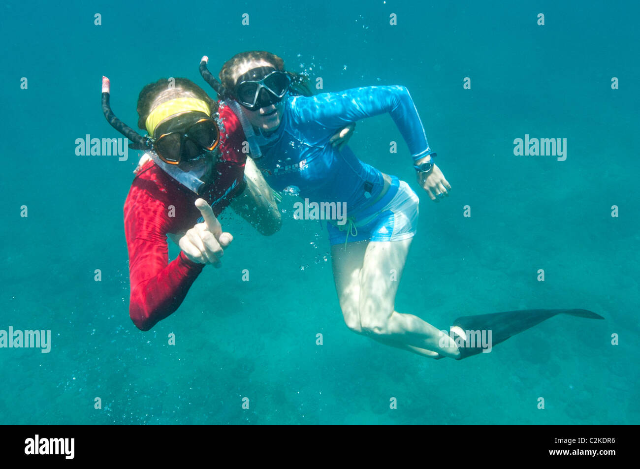 Matura in amore diving libero nell'Oceano Indiano Foto Stock