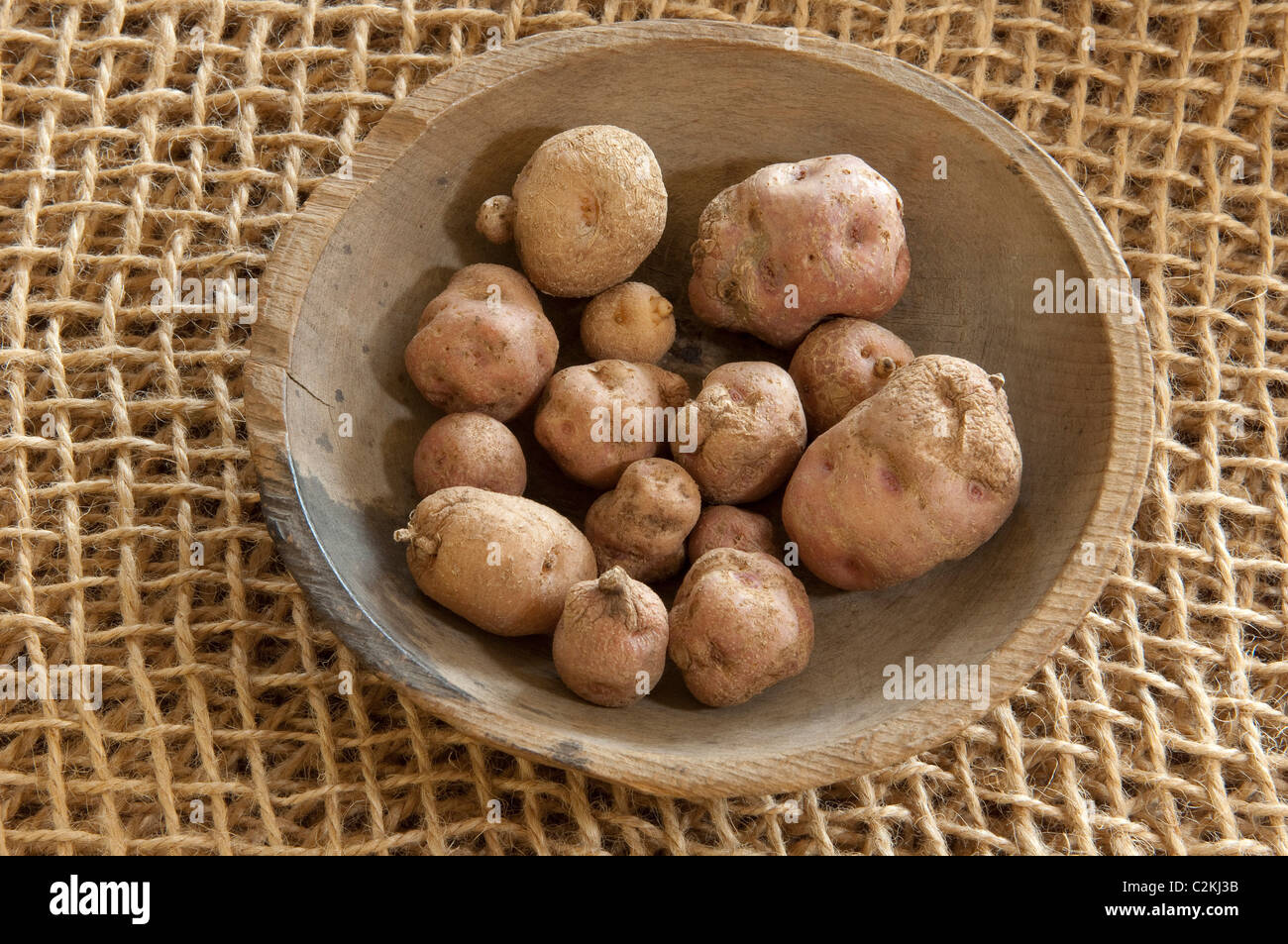 Andean potato, Potatoe selvatico (Solanum phureja). Patate di una ciotola di legno. Foto Stock
