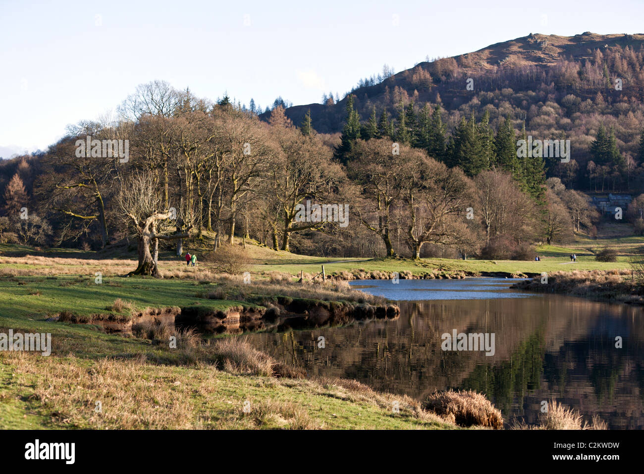 Acqua Elter, nel distretto del lago, Cumbria, Inghilterra, Regno Unito. Foto Stock
