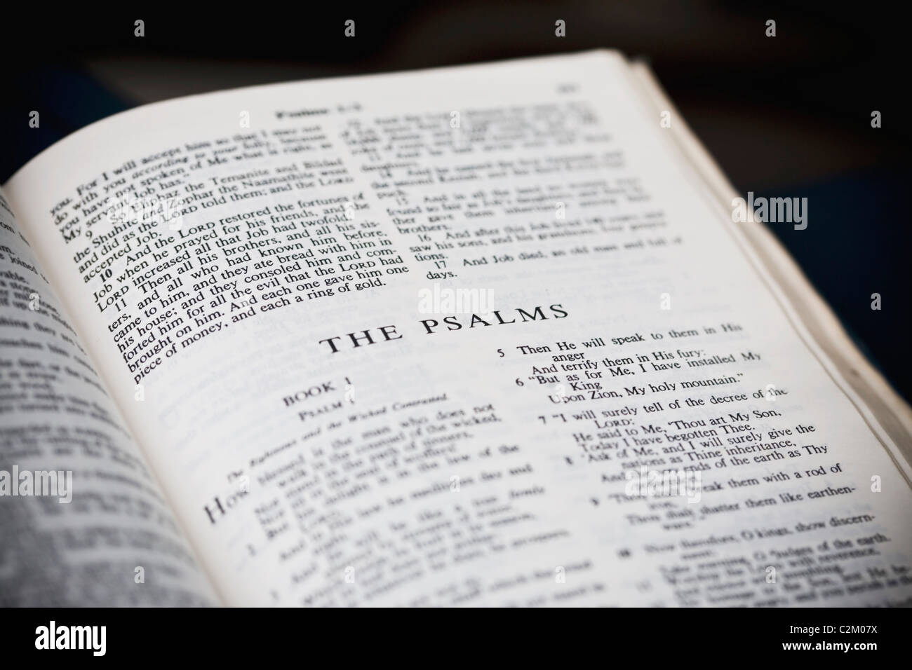 Il nuovo standard americano la Bibbia aperta a Salmi Foto Stock