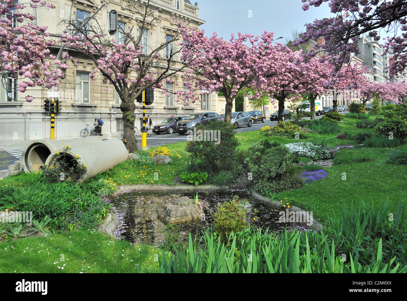 Calcestruzzo gronde in larga striscia mediana / centrale di prenotazione che è stato trasformato in un giardino includono nella città di Gand, Belgio Foto Stock