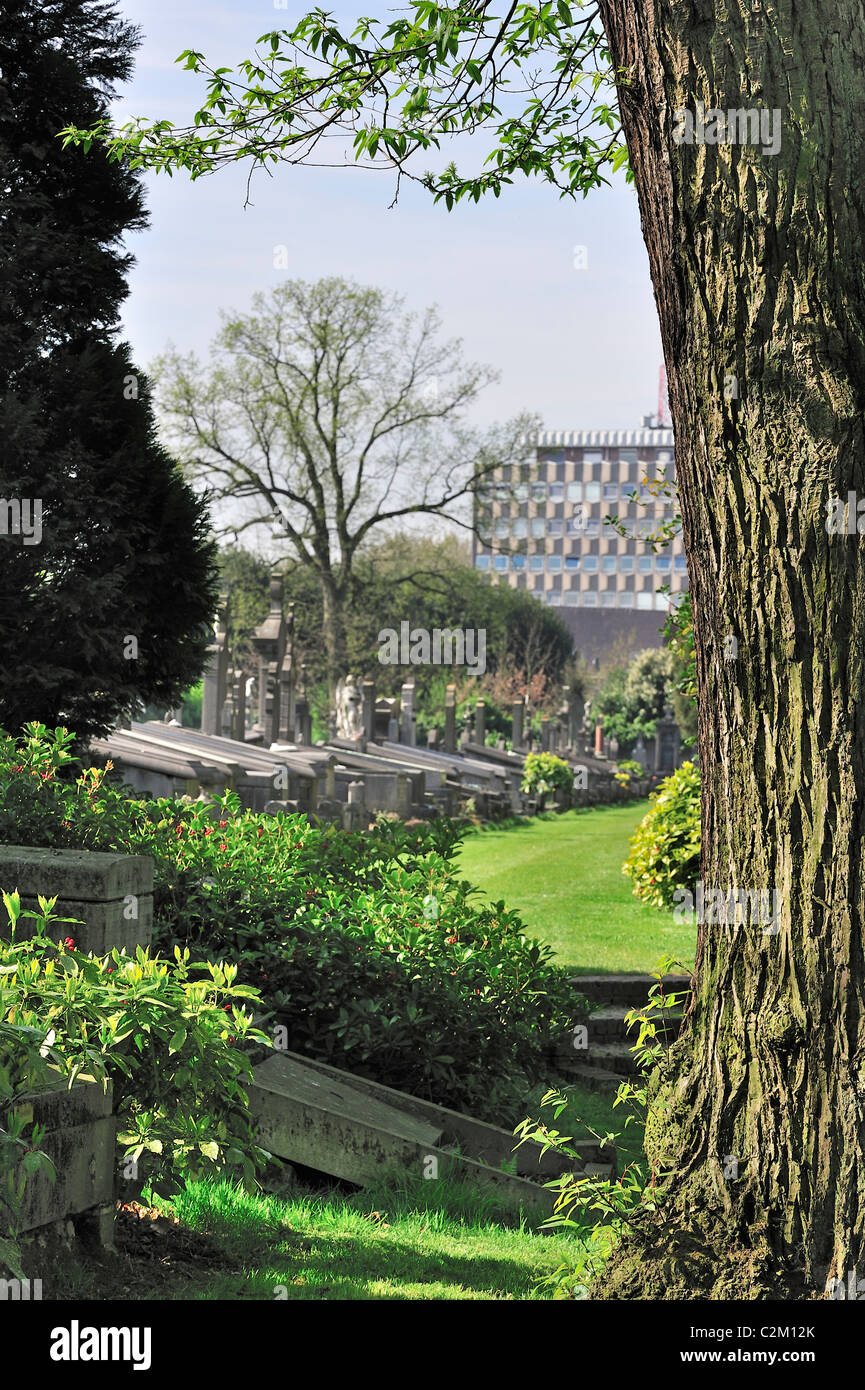 Gli appartamenti e la natura al vecchio cimitero della città Westerbegraafplaats in primavera, Gand, Belgio Foto Stock