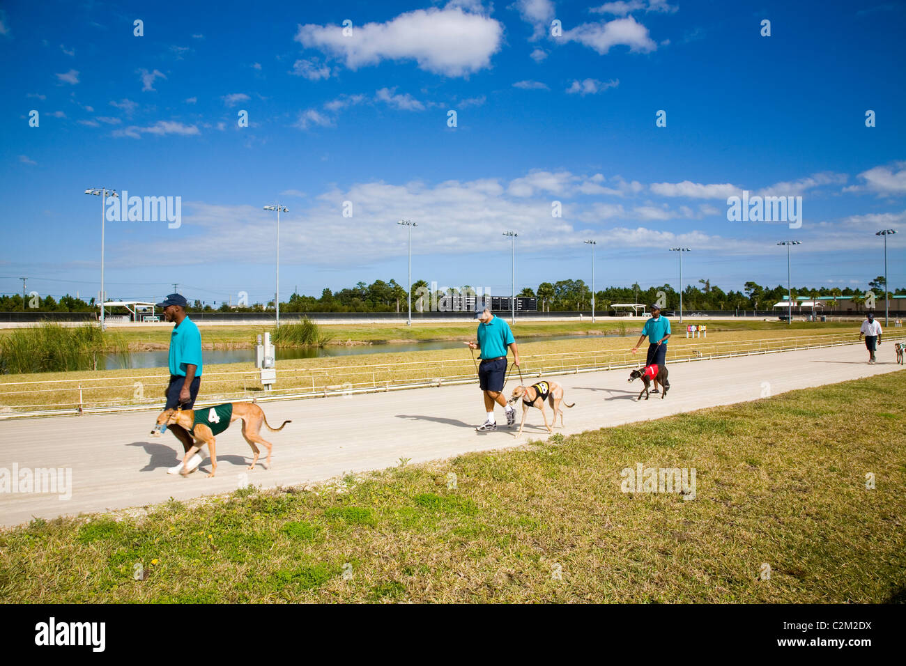 Daytona Beach Kennel Club offre il Greyhound Racing azione e una sala da poker, il tutto in un ambiente lussuoso in Daytona Beach, FL Foto Stock