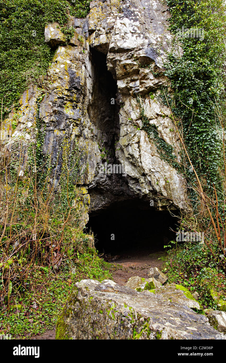 Foro Cat Grotta, Parco legno, Parkmill, Gower, Galles Foto Stock