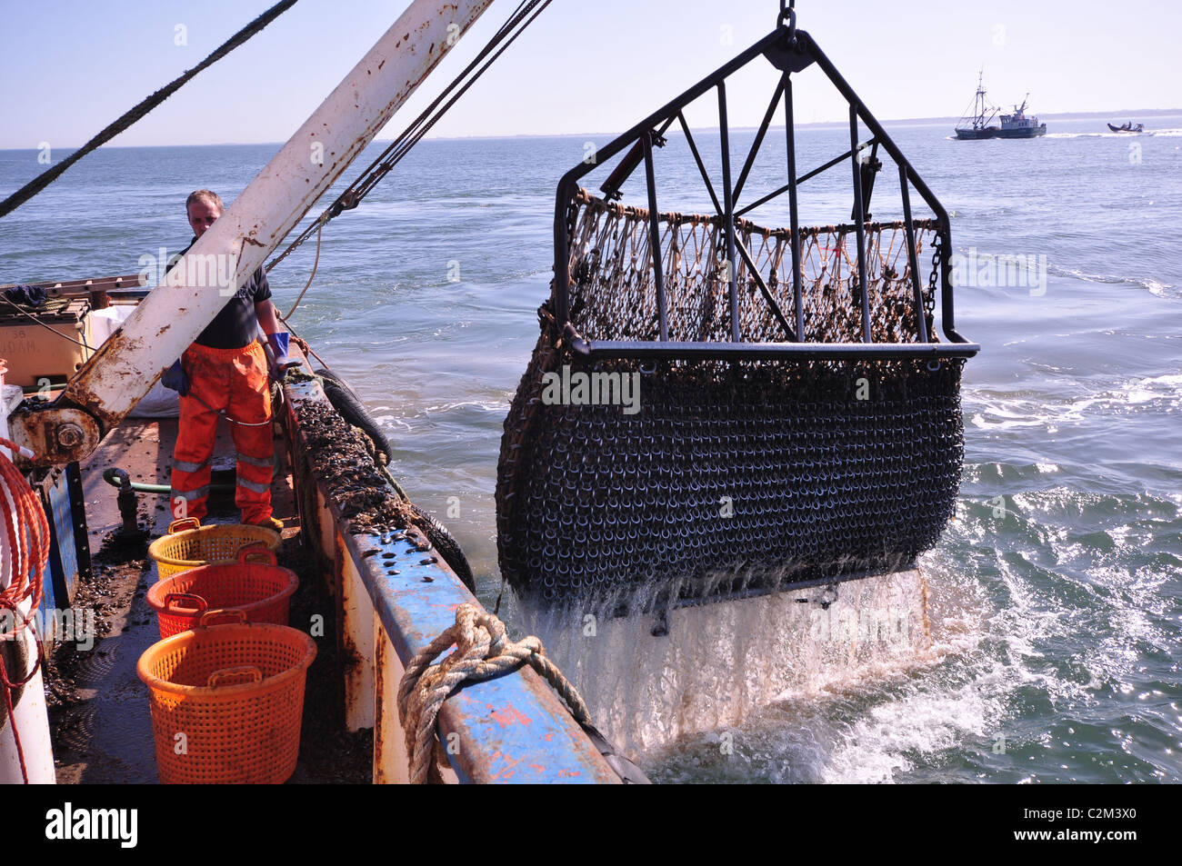 Una cozza dragare essendo sollevata fuori dalla costa di Norfolk Foto Stock