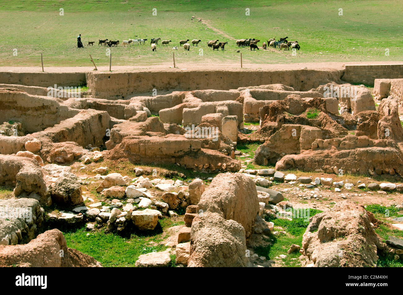 Ebla Siria Aleppo 3000 BC - 1650 BC 20.000 tavolette cuneiformi trovato ci lingua semitica correlati siriano Akkadico Tell Mardikh Foto Stock