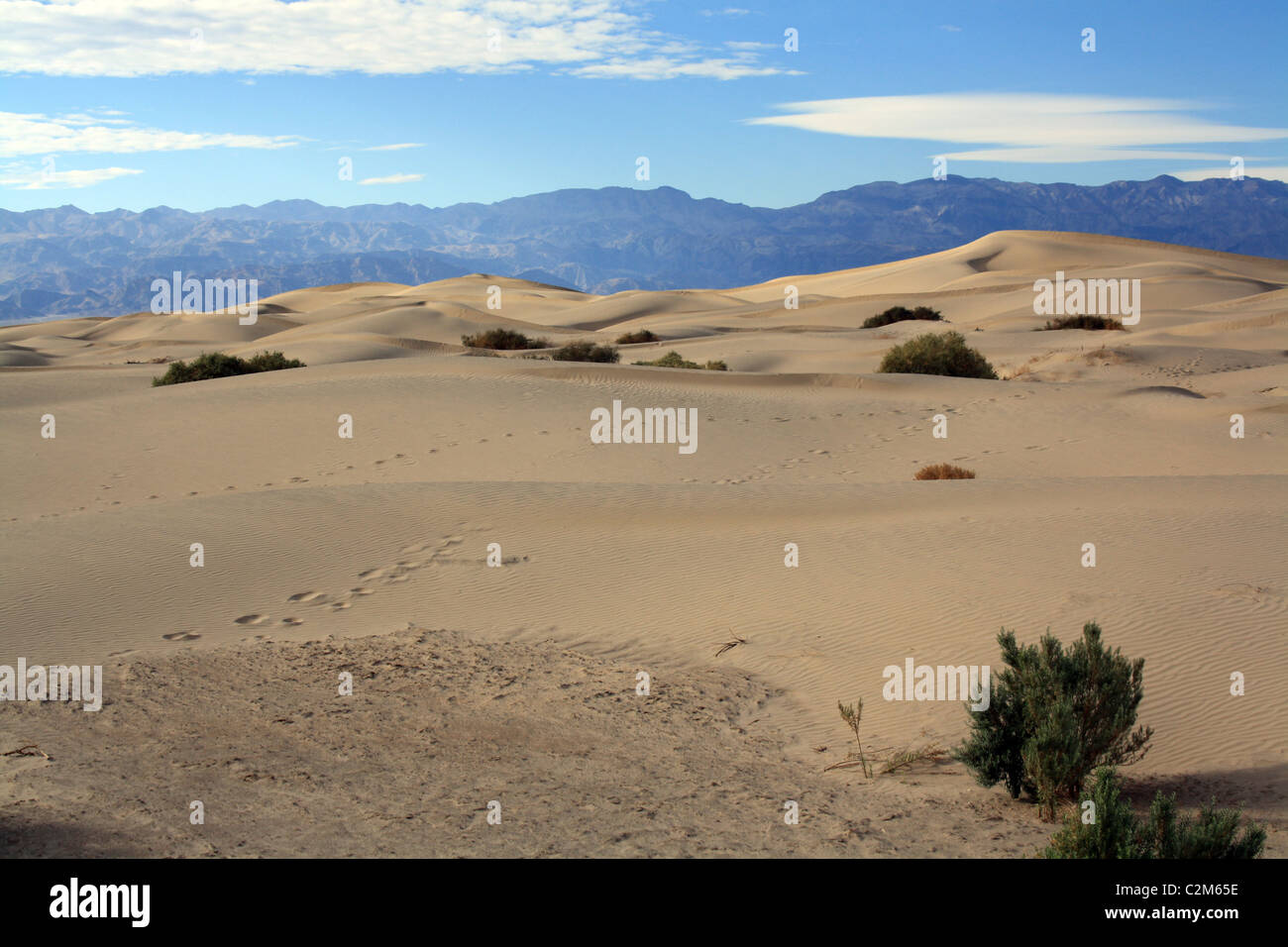 Le dune di sabbia e la SIERRA NEVADA Death Valley USA 10 Novembre 2010 Foto Stock