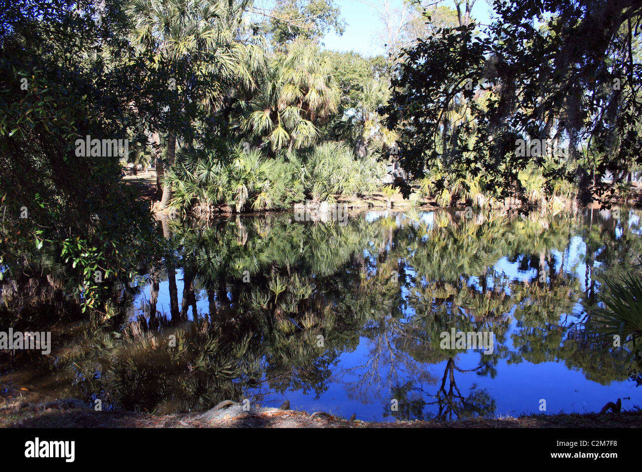 Il PARCO DELLA CITTÀ DI NEW ORLEANS USA 23 Gennaio 2011 Foto Stock